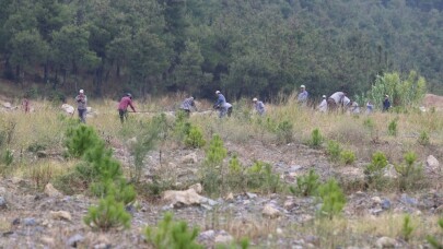 Madenler çıkarıldı...20 bin fıstık ve akasya maden sahasına dikildi