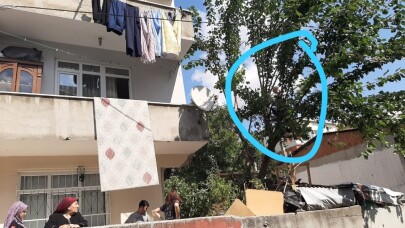 (Özel) Tırtıllar yüzünden canından oluyordu