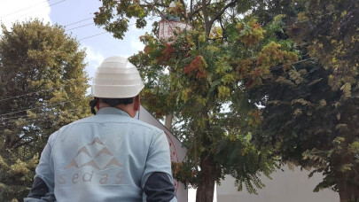 SEDAŞ budamaya başladı