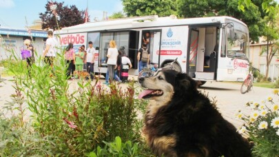 Vet-Büs, minik dostlar için Kartal’a geliyor
