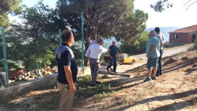 Zeytin alım merkezi kuruldu