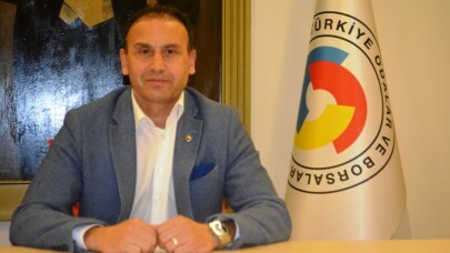 15. Ayvalık Uluslararası Zeytin Hasat Festivali başlıyor