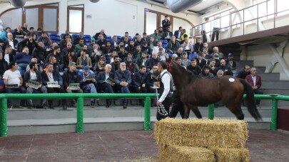 Ev fiyatına taylar için kıyasıya rekabet