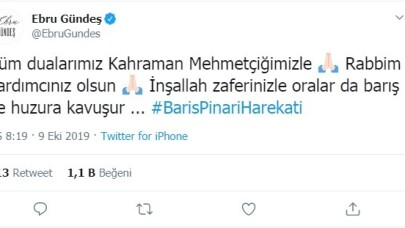 Ünlü isimlerden Barış Pınarı Harekatı’na destek