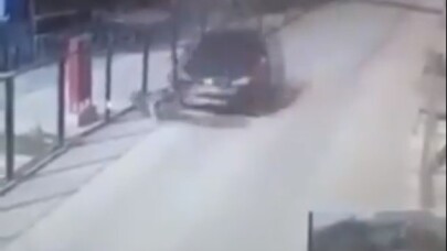 Vicdansız sürücü yolun kenarında duran köpeği böyle ezdi