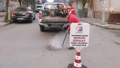 Bayrampaşa’da sivrisinekle dört mevsim mücadele
