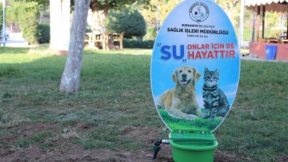 Burhaniye’de sokak hayvanlarına suluk