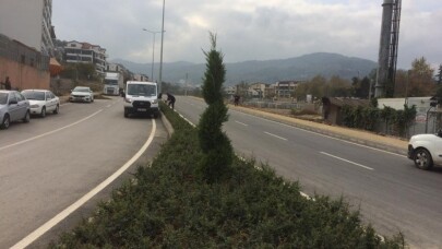 Büyükşehir Bahriye Üçok Caddesi’ni yeşillendirdi