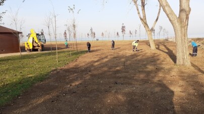 Cebeci Sahili daha konforlu olacak