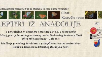 Cihat Köseoğlu'nun "Anadolu'nun Kelebekleri" isimli fotoğraf sergisi Bosna Hersek'te açılacak
