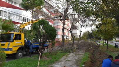 Edremit Belediyesi parkları ışıklandırıyor
