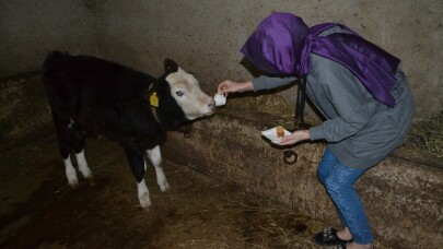 Hayvanlarına kahve ikram ediyor