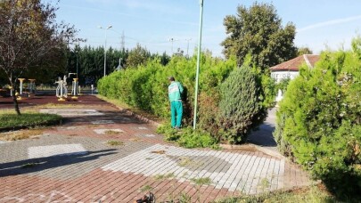 İzmit’te mevsimlik budama çalışmaları başladı