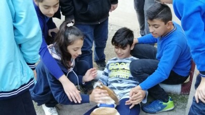 Karamel’in yeni yuvası okul oldu