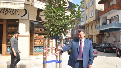 İlk Etapta Karasu Merkeze 283 Adet Ağaç Dikilecek