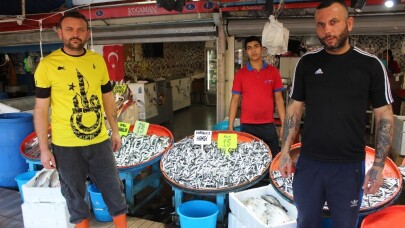 (Özel) Karadeniz hamsisi Marmara’yı hatırladı