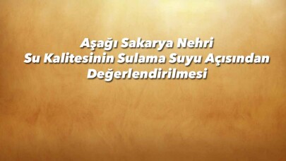 Aşağı Sakarya Nehri Su Kalitesinin Sulama Suyu Açısından Değerlendirilmesi