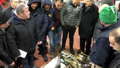 Son yılların en kötü balık sezonu yaşanıyor