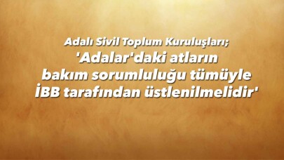 'Adalar'daki atların bakım sorumluluğu tümüyle İBB tarafından üstlenilmelidir'