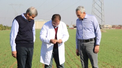 Ahmet Buğdayı Anadolu topraklarında yeniden hayat bulacak
