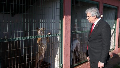 Başkan Yüce: “Geçici Hayvan Bakımevinin kapasitesi artacak”