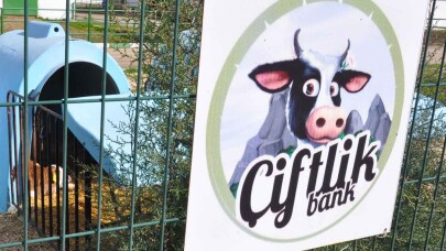 Çiftlik Bank davasının firari sanığı duruşmada dinlendi
