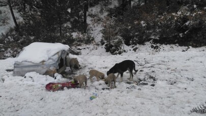 “Doğaya atık değil canlılara katık“ projesi