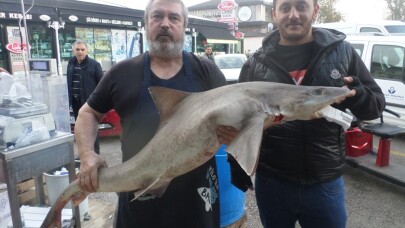 Düşmeyen balık fiyatları alıcısını azalttı