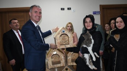 İnegöl Belediyesi, kedi sahiplenene yuva hediye edecek