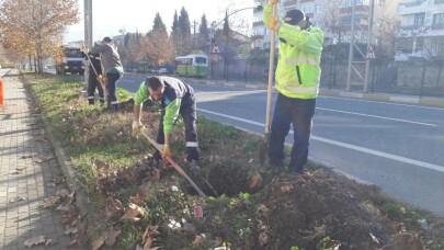 Kocaeli’de yol kenarlarındaki boş alanlar ağaçlandırılıyor