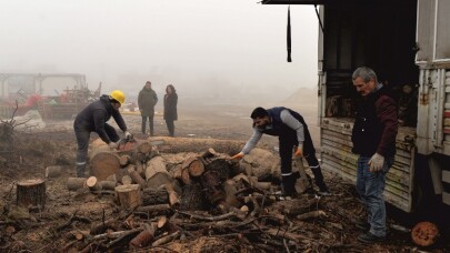 Park ve bahçelere bakım çalışması yapılıyor