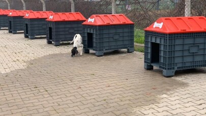 Plastik atıklar sevimli dostlara yuva oluyor