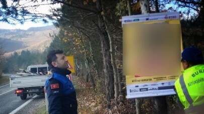 Reklam için ağaçlara çivi çaktılar