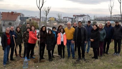 Katılımcılıkta gelinen nokta