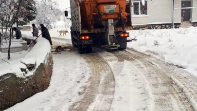 Nilüfer’de karla mücadele ekipleri iş başında