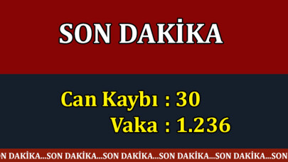 Can kaybı 30, vaka 1.236