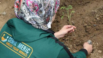Özel öğrencilerin yetiştirdiği ürünler ihtiyaç sahibi ailelere dağıtılacak