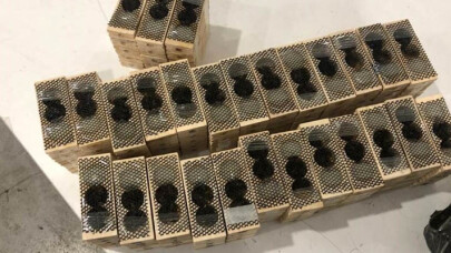 Sarp Gümrük Kapısında 1500 Canlı Kraliçe Arı Yakalandı