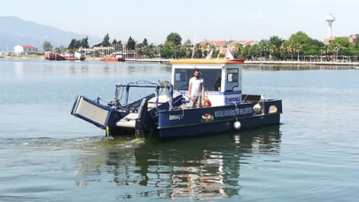 İzmit Körfezi’nde yaşayan deniz popilasyonu artış gösterdi