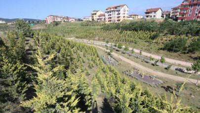 Park ve bahçelere 38 milyonluk yatırım