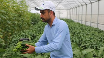 Yüzde 50 hibeli seralarda yüzler gülüyor