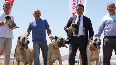 Kangallara çipli takip geliyor
