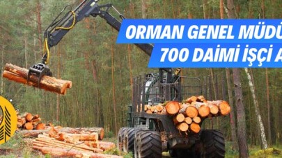 Orman Genel Müdürlüğü 700 daimi işçi alacak