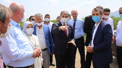 Bakanlık Gökçeören Ovası’nı İnceledi