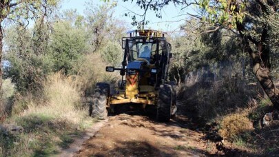 Hasat zamanı zeytinlik yolları açılıyor