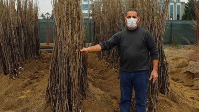 Kocaeli'nde çiftçiler yüzde 50 hibeli fidanları almaya başladı