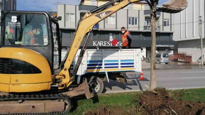 Rüzgâr Caddesi’ndeki ağaçlar yenilenecek