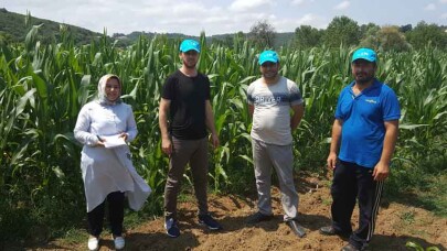 Kocaeli'nde çiftçilere yüzde 50 hibeli tohum desteği verilecek