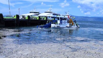Bursa sahillerinde salya operasyonu