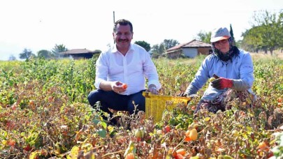 Balıkesir’de 3 bin 747 hektar alan modern sulama teknolojisi ile donatıldı